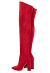 CASTAMERE Womens High Heels Over The Knee Boots Sexy Pointy Toe Chunky Block 10CM Heel Boot with Zipper