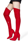 CASTAMERE Womens High Heels Over The Knee Boots Sexy Pointy Toe Chunky Block 10CM Heel Boot with Zipper