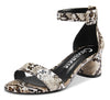 CASTAMERE Womens Chunky Block Heel Sandals Ankle Strap Open Toe Buckle 5CM Heels Sandal