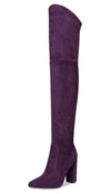 CASTAMERE Womens High Heels Over The Knee Boots Sexy Pointy Toe Chunky Block 10CM Heel Boot with Zipper