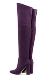 CASTAMERE Womens High Heels Over The Knee Boots Sexy Pointy Toe Chunky Block 10CM Heel Boot with Zipper